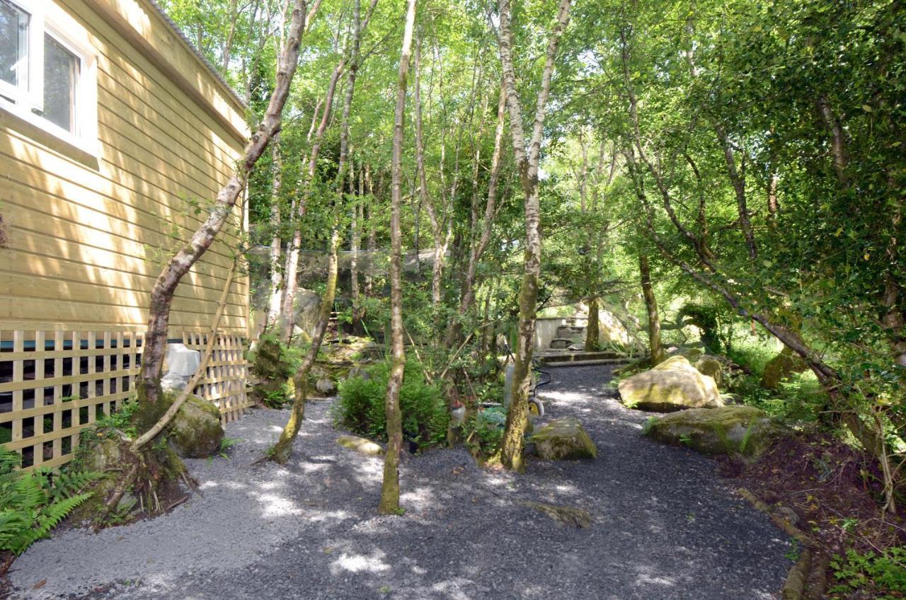 Tawny Lodge Westport Eksteriør bilde