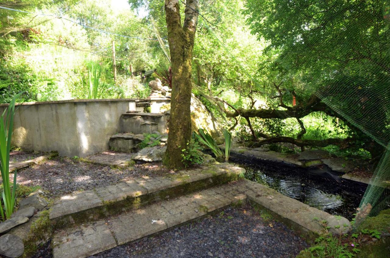 Tawny Lodge Westport Eksteriør bilde